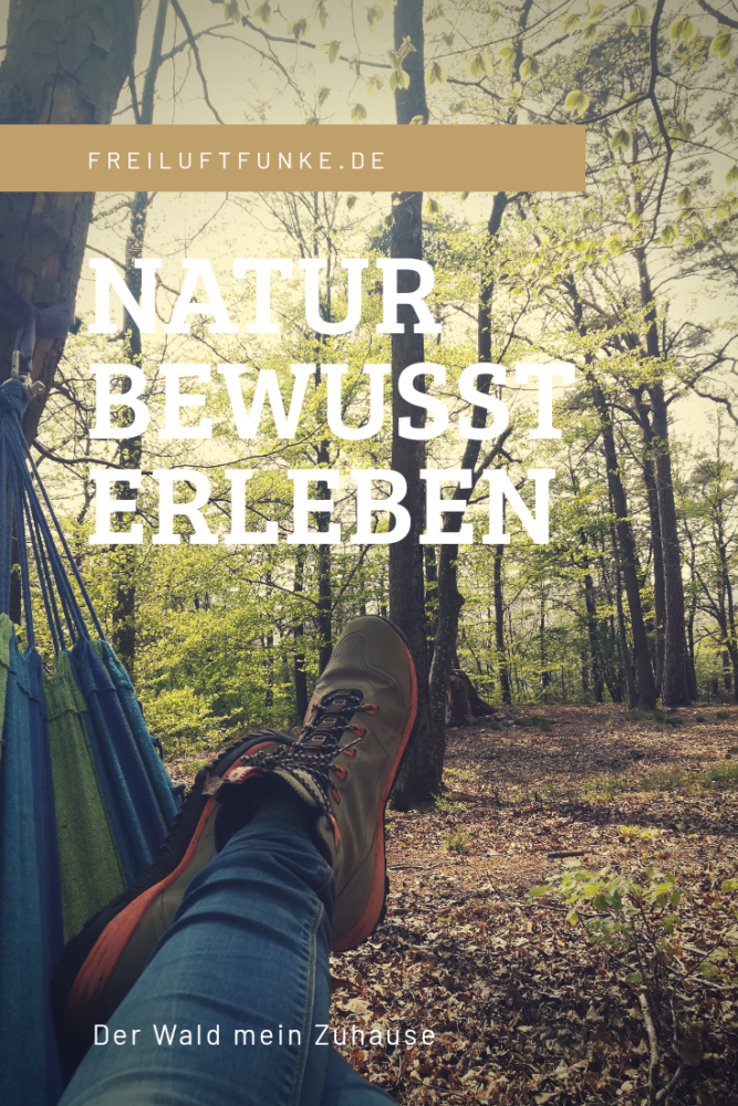 Natur bewusst erleben