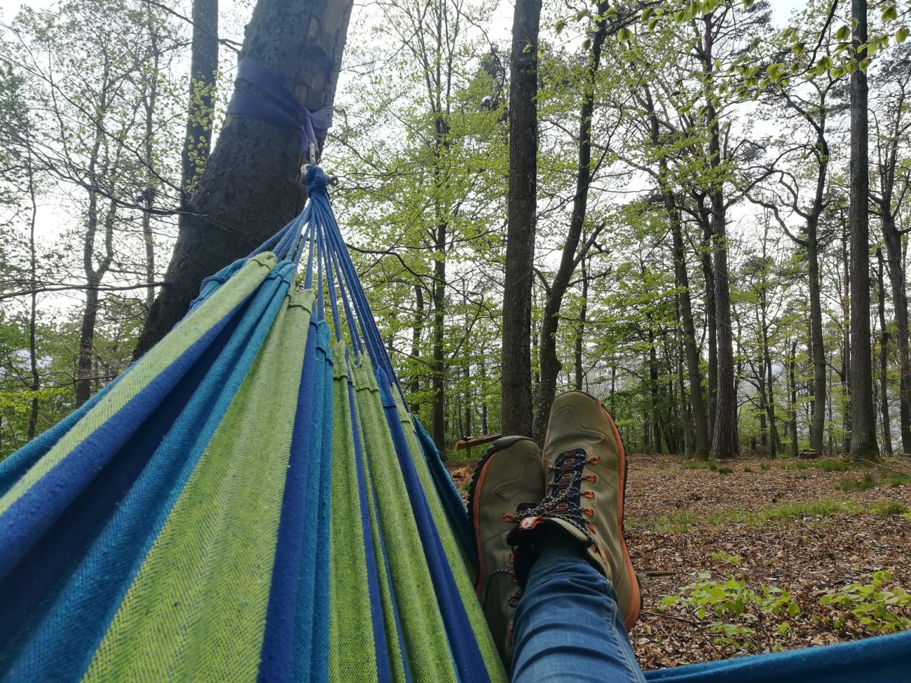 Hängematte im Wald