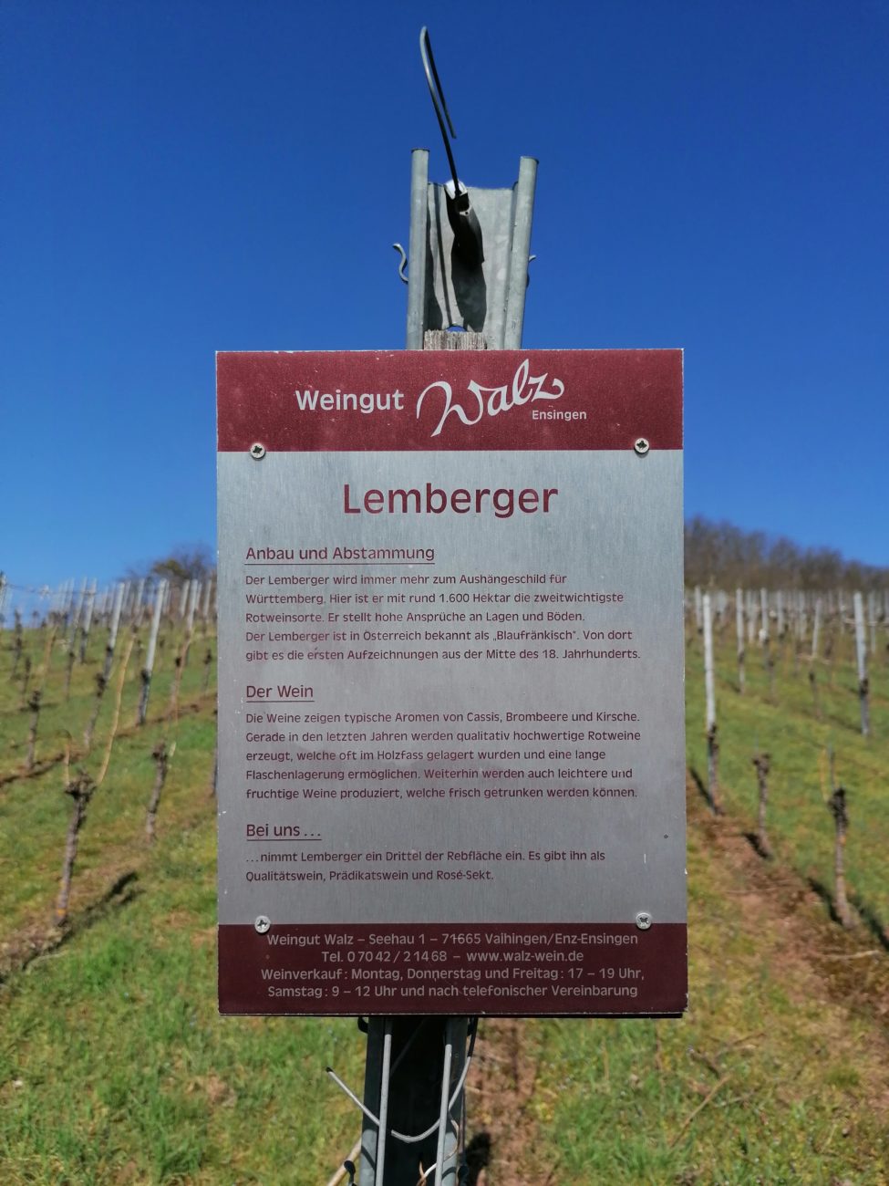 Stormberg Wein